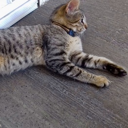 D 25d637d2 ec2d 44b4 8421 b90b5e8a4a22