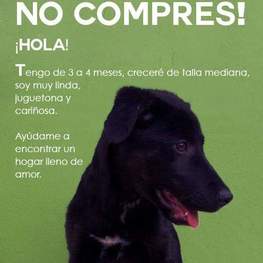 D f1801468 25bc 4c54 a11f 55150daba82c