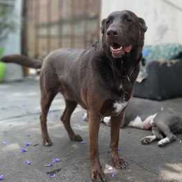 D cbe9d204 a277 477e 8a28 b58acbdafa44