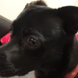 D 7ce00853 d27c 4307 9742 d75c2ebff30f