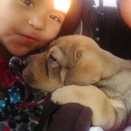 D 220900cc 922b 45d9 b2f1 43d4bf28bfbd