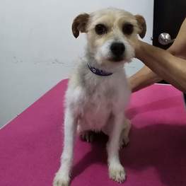 D c2b92922 f6ab 4e92 adb8 01b598aabcdc