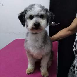 D 5f06811c 9281 4383 9ec3 eca765270ef6