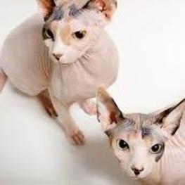 D 16174a06 b441 4ec9 8cd8 6bb41104b70b