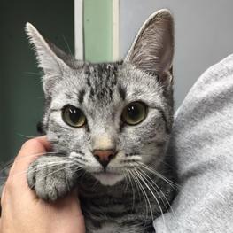 D 85a2fc86 3a5e 4d72 89ca 1d0141da9f60