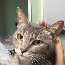 D 0a94d02f 9614 48c5 a18b 442bf5464abe