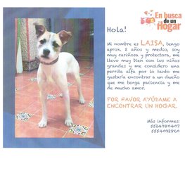 D fc54e9e9 90c5 4f03 ae0a 01148be28ea3