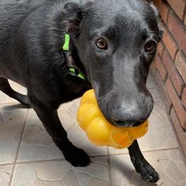 D 4c075482 6a3c 40af 825a 62ec8b6a7bd7