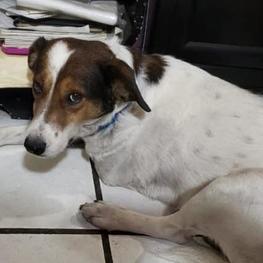 D e9bad23c c97d 46bb 8380 d9d8829a3d5a