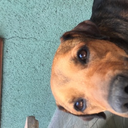 D 83848ff0 0472 4acc b977 96f5da1a1dcb