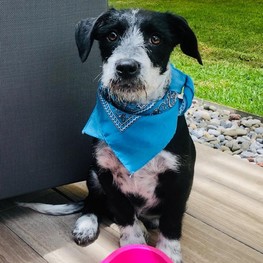 D 02011daa 9001 479f 98e1 bcab2b873145