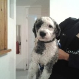 D bf30a06b bd9b 4c5e 933b 18af8baf43d9