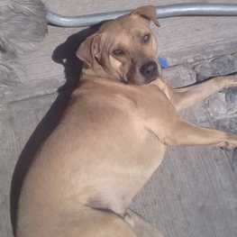 D 53f12bf6 59f0 4373 b08a 7cc498bbf9ed