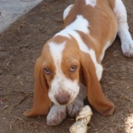 D 63267c77 99c1 4110 8391 ebb1e024f370