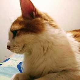 D a81482b8 3c92 41dc 9248 d8e1c986d2be