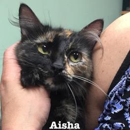 D f94a9f60 5537 449e a0df 27564ff2c8c9