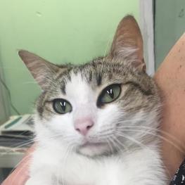 D 3f283f1e 447f 4ba7 afe2 00b734eb9bb3