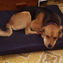 D 39d40cf7 5d15 4f0e b684 44aa31f849ce