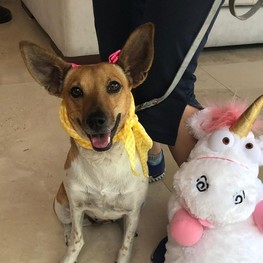 D ebd4d764 8e29 4268 b949 f5081e986692