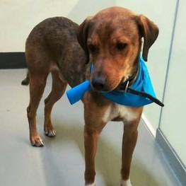 D 8995b548 df4f 4ab7 96bc b3f52cfad995