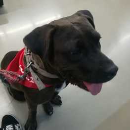 D 821ffcd4 4863 4364 9f82 58b91e49ad04