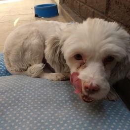 D 5cad6d88 f7fb 4ad9 90b6 acbc16d5e64c