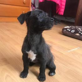 D 113c2806 a57a 4538 9c5a b4fae4ee0d34