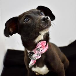 D e0eded02 866e 4060 88ab 582928a829e6