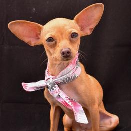 D 43b85cba a9b7 4367 8422 52241e5ede79