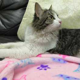 D 5287cab1 faa7 415c a4a6 725fd8bac598