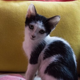 D be9c0bc7 3a47 4c54 b872 8436e788e872