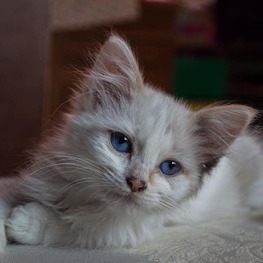 D 3b33aac5 a8bf 472f 9091 f5c1e3423028