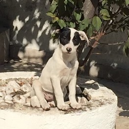 D acdee04e 379c 48eb be34 0a6f7994e9f0