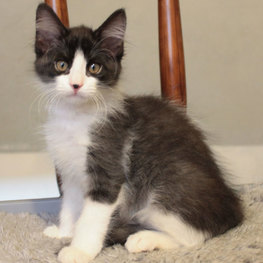 D b3060f51 d1c8 4d63 be58 028dc24e53b0