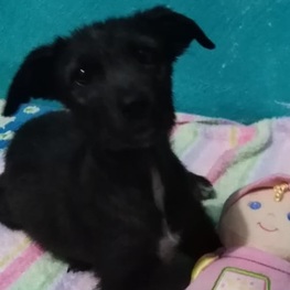 D b83c63a6 dcb4 4f62 8e6f 023eae06df00