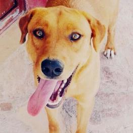 D 91ab2c72 49dc 4d47 bb63 b46d7a81ecc8