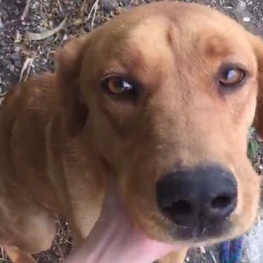 D 42aafdef 45d4 490b b761 01c7db5b5ad8