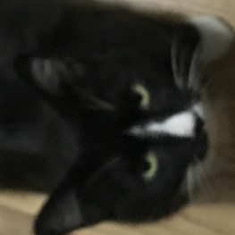 D a831951d 5afb 4525 bb91 f425364b8971