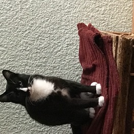 D 39695a1a 633b 4189 a61d 67bd97759202