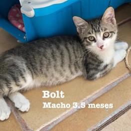 D d9ce87a0 1be6 44f8 ba52 69fe663502bb