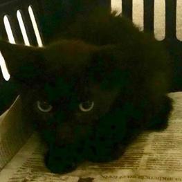 D 9387833d ea6f 45e6 a8fd 5c0cd96072ee