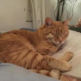 D 462e3d92 3bb5 4080 820e 192b252df46a