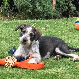 D f71b8adc 1010 49ee 8ffd 77f4ae22c969