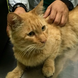 D 0c79dcae f0c5 44d9 82d8 23838f82a848