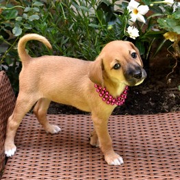 D 06f391b7 419e 4082 93d6 f49577d36cfb