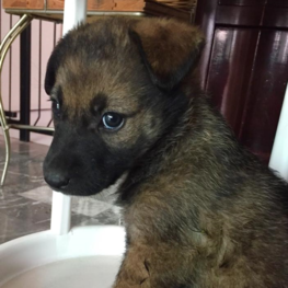 D fa08e921 e71d 410e bb31 35510faedf1a