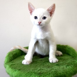 D 51720bfd eaa3 4221 8d90 85b841188ea6