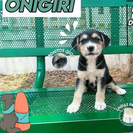 D f93170a3 6c95 48d5 be0c 0f7fdc8c75a8