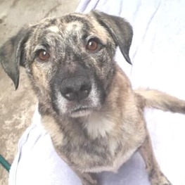 D 68085567 b495 4ba8 88c4 b53ba5e026c2