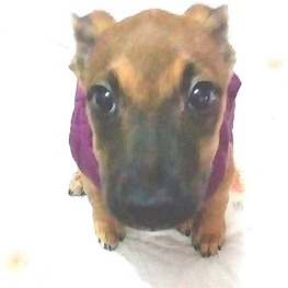 D 7c1bbe9c 46bf 4275 baf6 78ab91386d8c